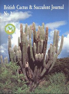 CactusWorld 19992