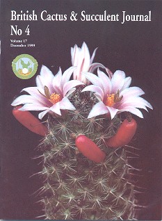CactusWorld 19994
