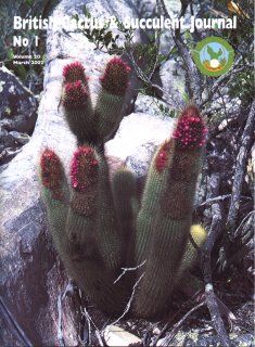 CactusWorld 20021