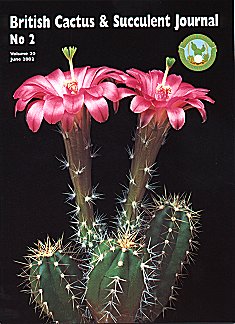 CactusWorld 20022