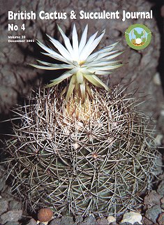CactusWorld 20024