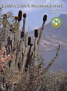 CactusWorld 20043