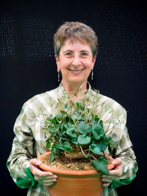 Best Succulent (Dr Gillian Evison)