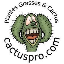 CactusPro logo