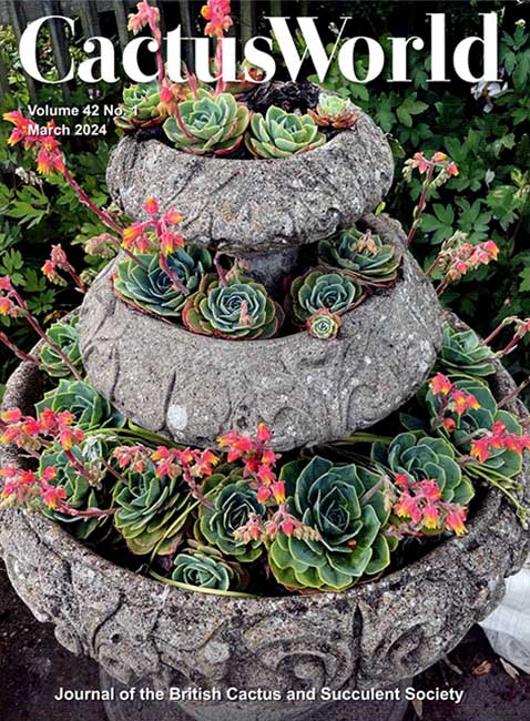 CactusWorld Vol 42 issue 1 March 2024